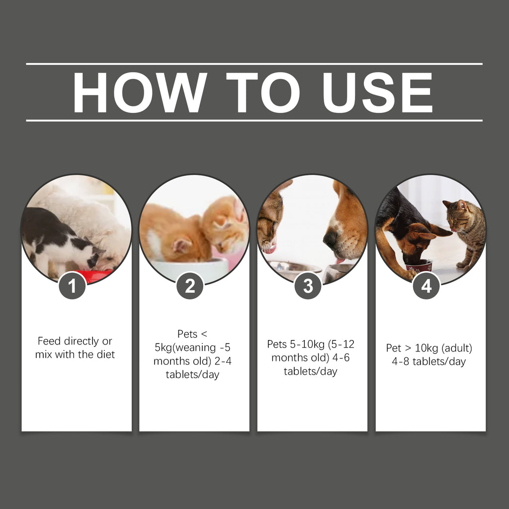 Probióticos en Comprimidos para Perros y Gatos. Suplemento Nutricional y Digestivo
