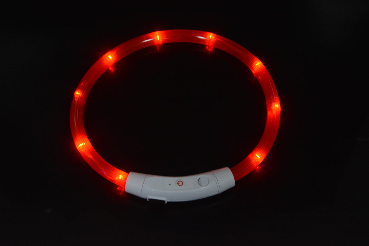 Collar LED Luminoso para Perros con Carga USB