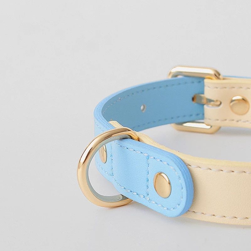 Collar de Cuero Genuino para Perros y Gatos