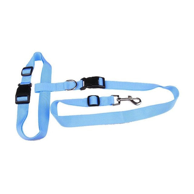 Correa de Nylon para Perros | Cómoda, Segura y Ajustable para Correr