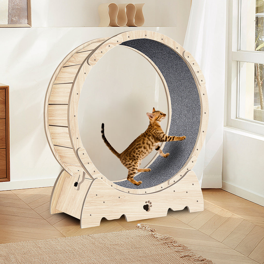 Rueda de Ejercicio para Gatos de Interior