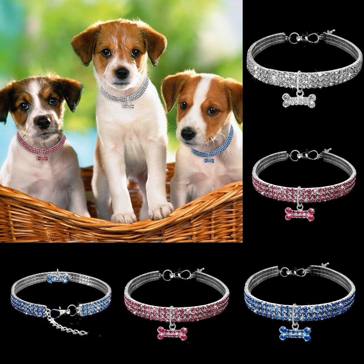 Collar Brillante con cristales y colgante de hueso para Perros y Gatos.