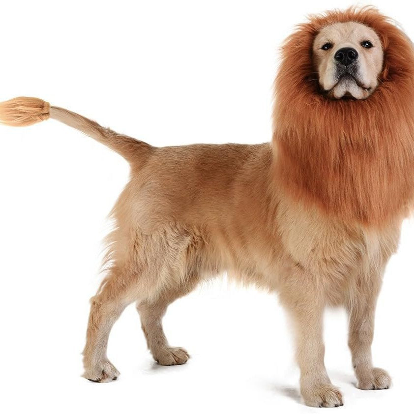 Máscara de León con Orejas para Mascotas. Disfraz Divertido para Perros y Gatos