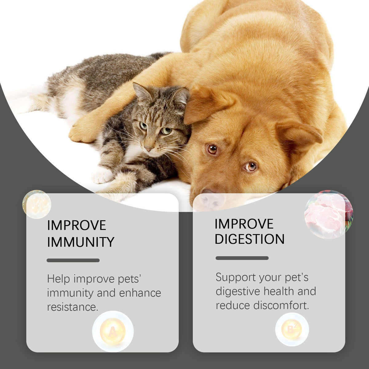 Probióticos en Comprimidos para Perros y Gatos. Suplemento Nutricional y Digestivo