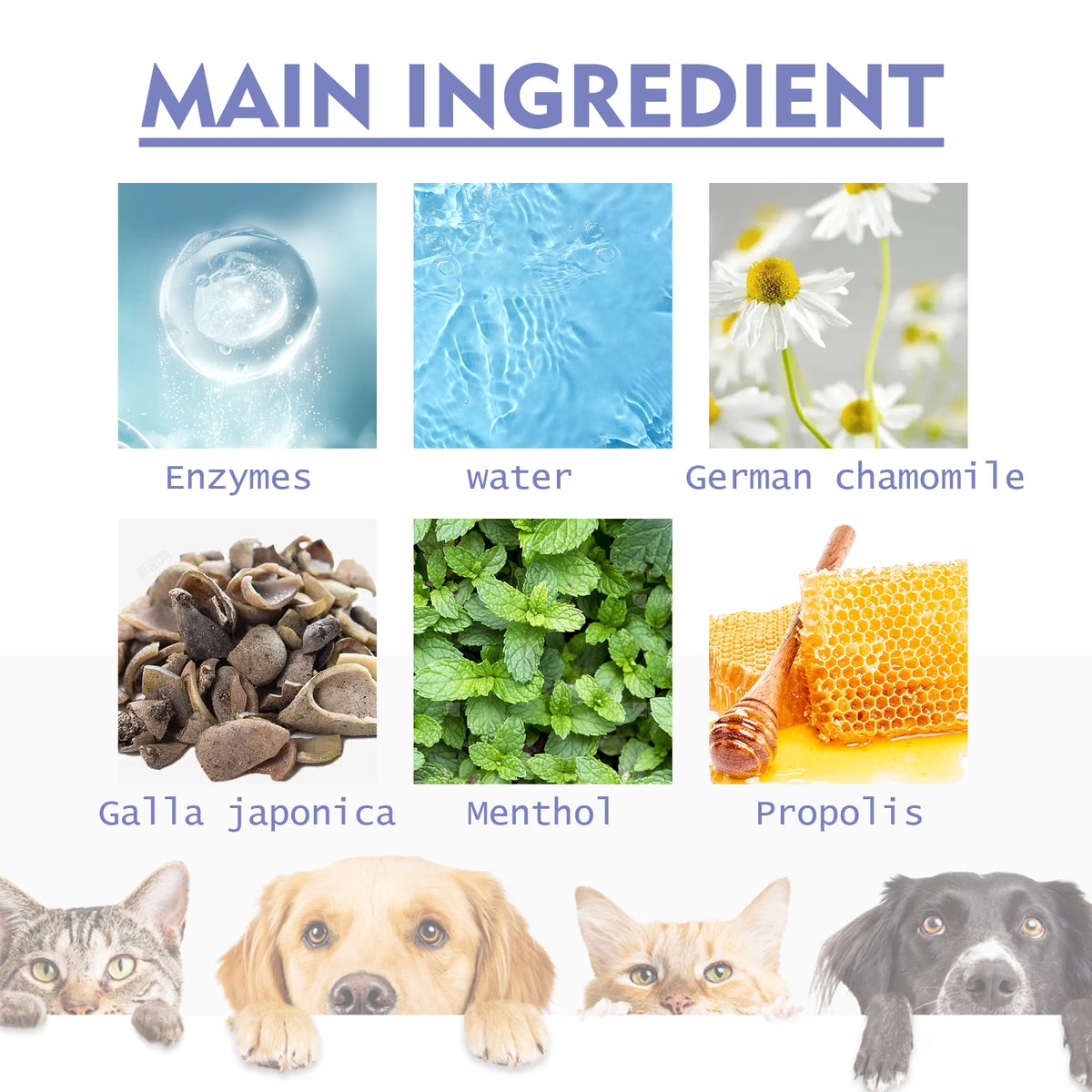Spray Dental para Perros y Gatos. Elimina Sarro y Refresca el Aliento