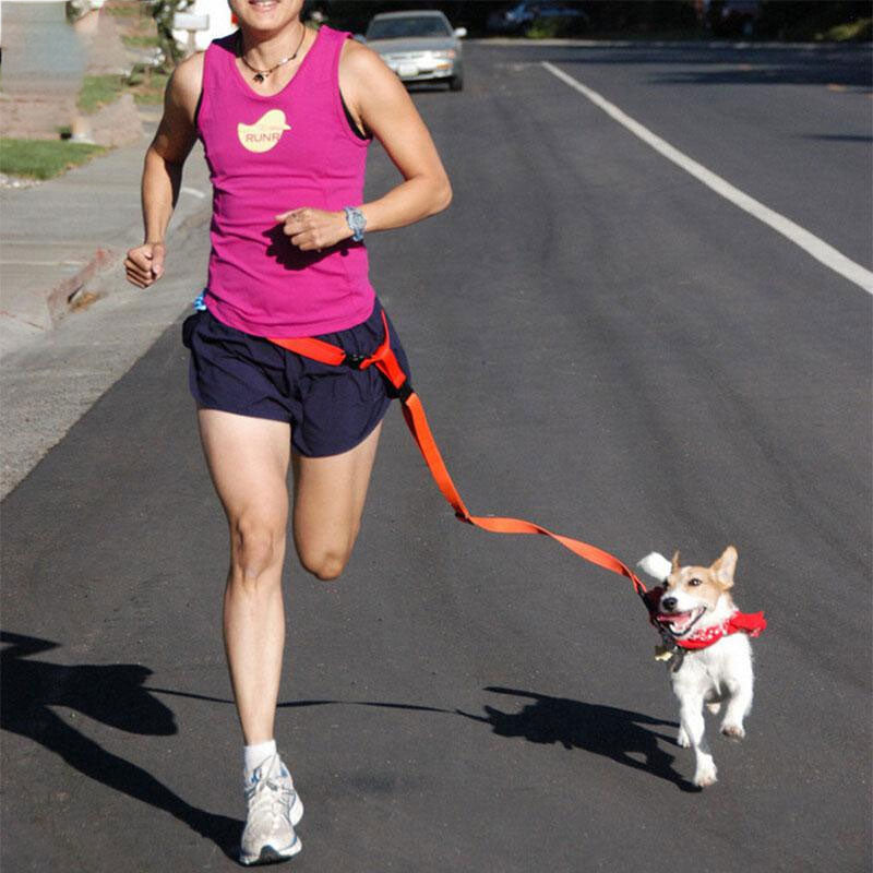 Correa de Nylon para Perros | Cómoda, Segura y Ajustable para Correr