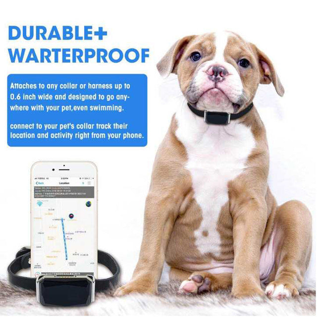 Collar GPS Impermeable IP67 para Perros, Gatos y Ganado