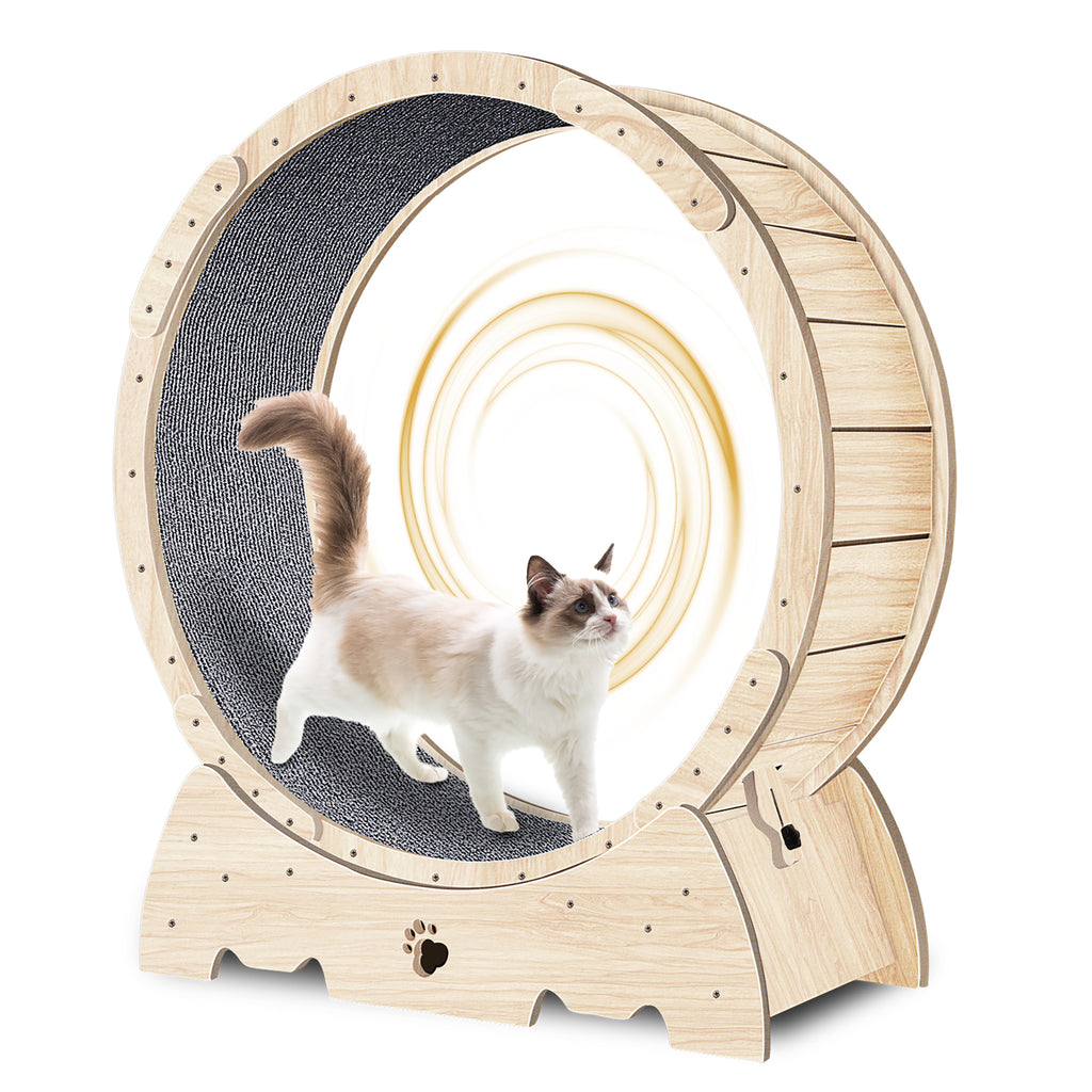 Rueda de Ejercicio para Gatos de Interior