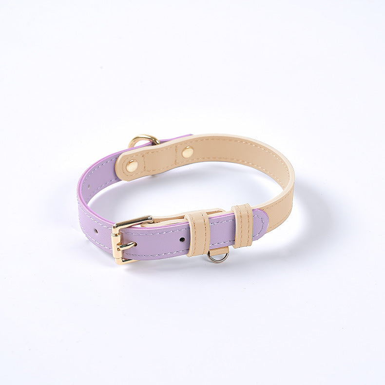 Collar de Cuero Genuino para Perros y Gatos