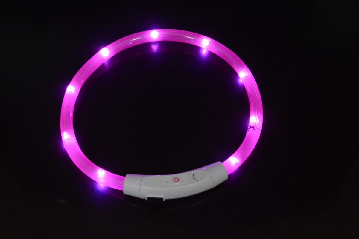 Collar LED Luminoso para Perros con Carga USB