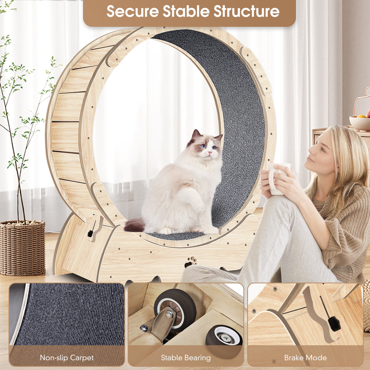 Rueda de Ejercicio para Gatos de Interior