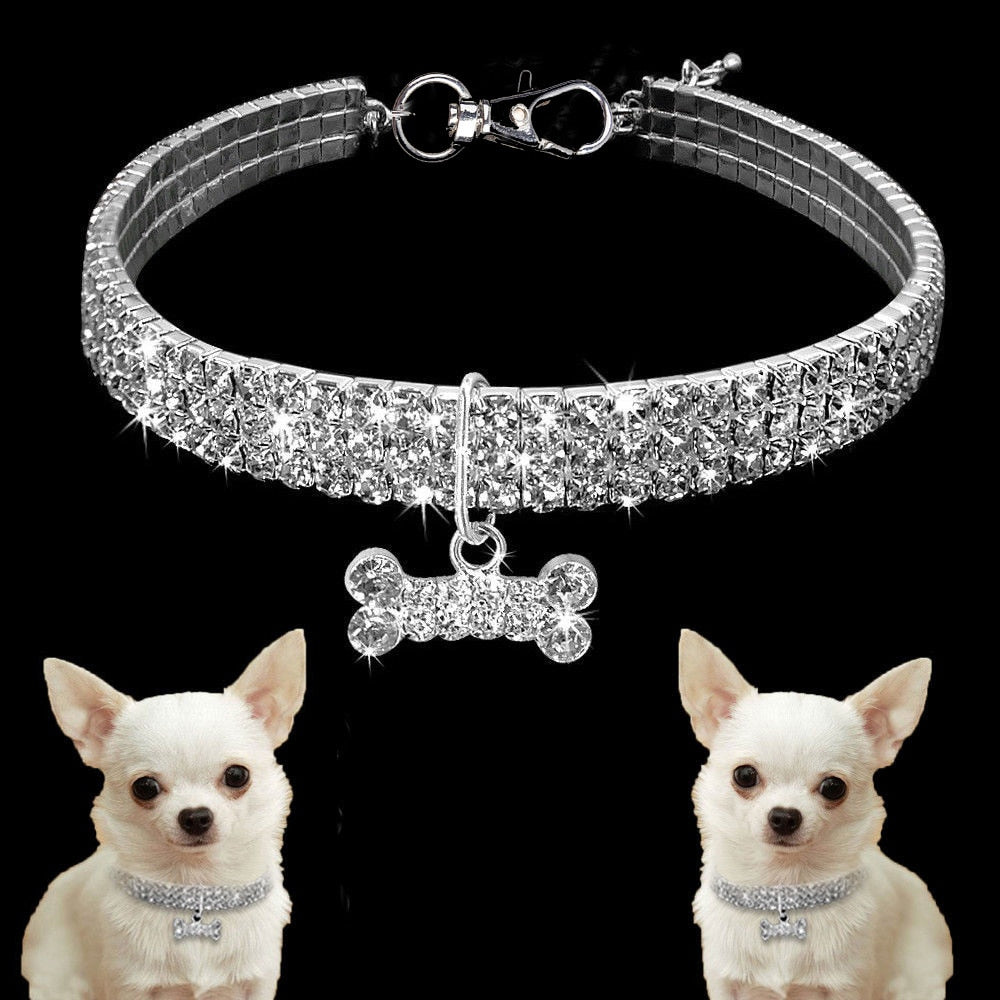 Collar Brillante con cristales y colgante de hueso para Perros y Gatos.