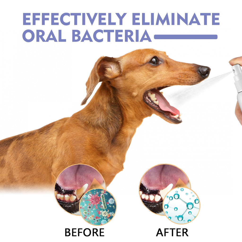 Spray Dental para Perros y Gatos. Elimina Sarro, Mal Aliento y Placa. Cuidado Oral
