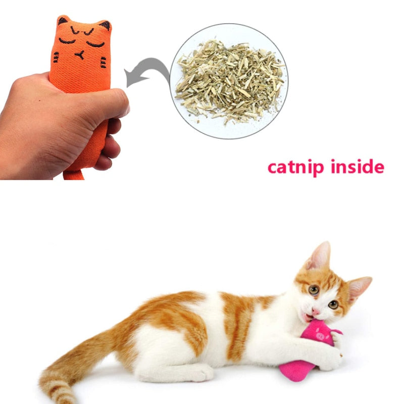 Juguete Almohada de Peluche con Hierba Gatera para Gatos.