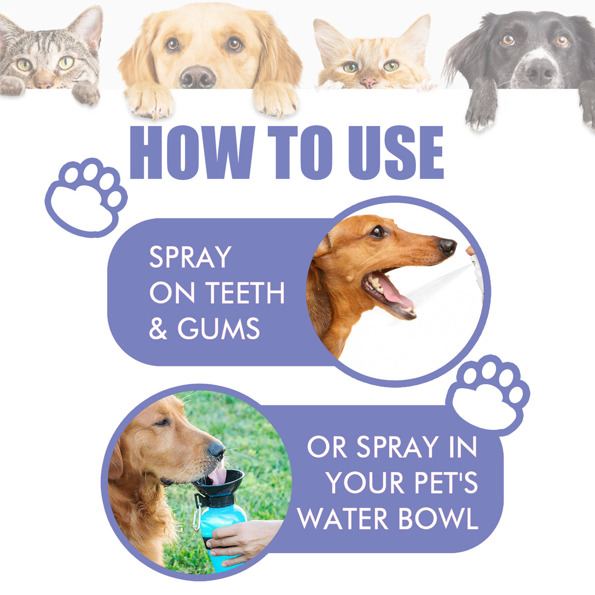 Spray Dental para Perros y Gatos. Elimina Sarro y Refresca el Aliento