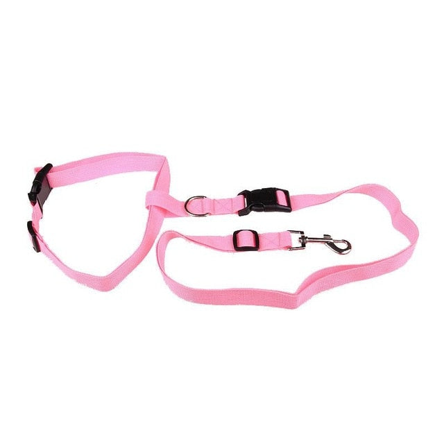 Correa de Nylon para Perros | Cómoda, Segura y Ajustable para Correr