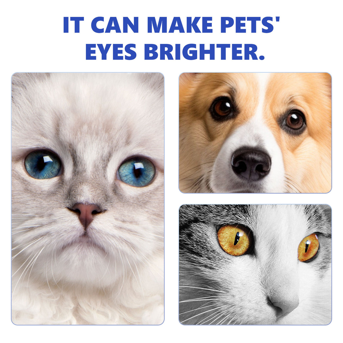 Gotas Oculares para Mascotas - Limpieza y Eliminación de Lagrimeo