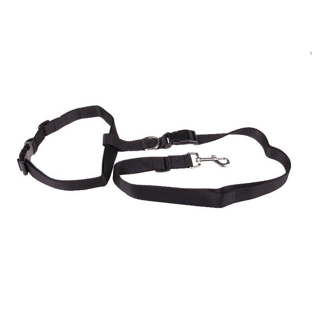Correa de Nylon para Perros | Cómoda, Segura y Ajustable para Correr