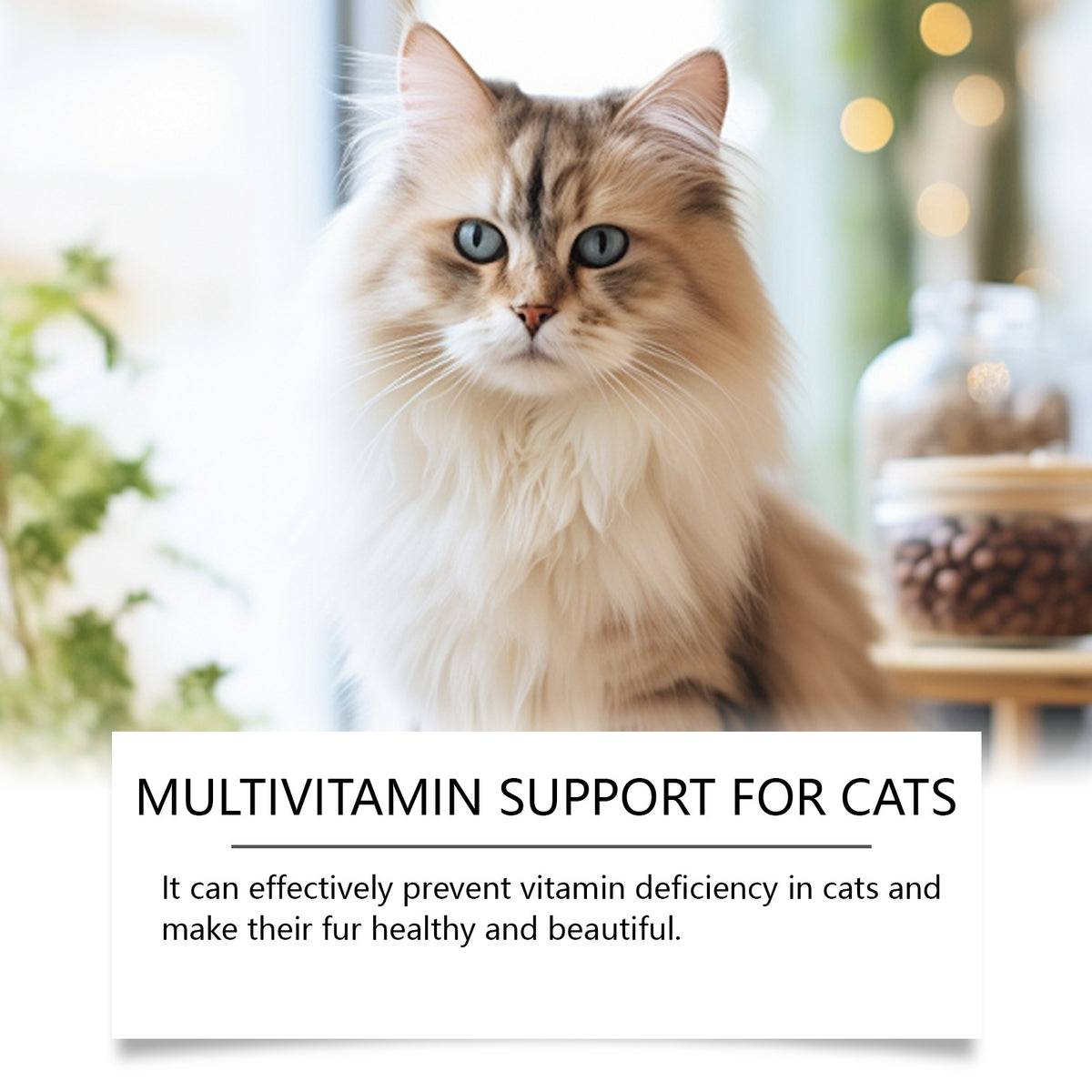 Multivitaminas para Gatos