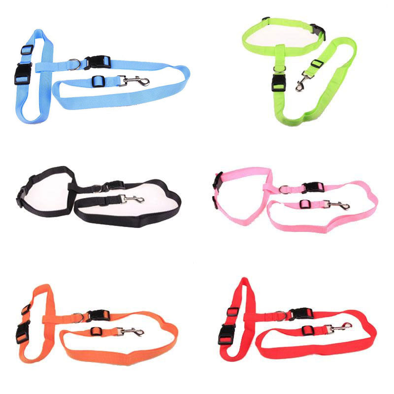 Correa de Nylon para Perros | Cómoda, Segura y Ajustable para Correr
