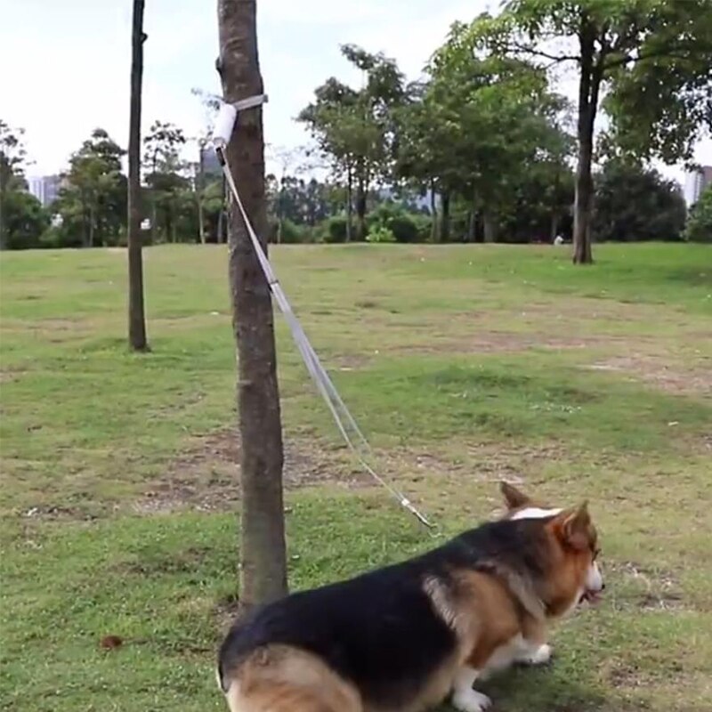 Correa Reflectante para Perros