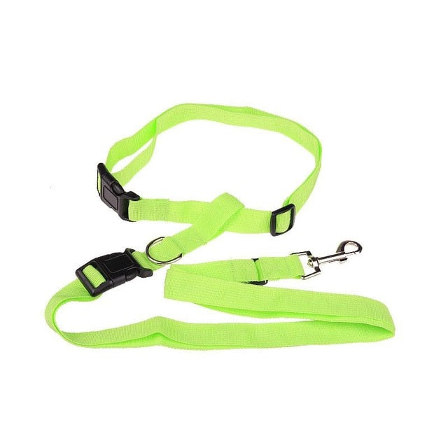 Correa de Nylon para Perros | Cómoda, Segura y Ajustable para Correr