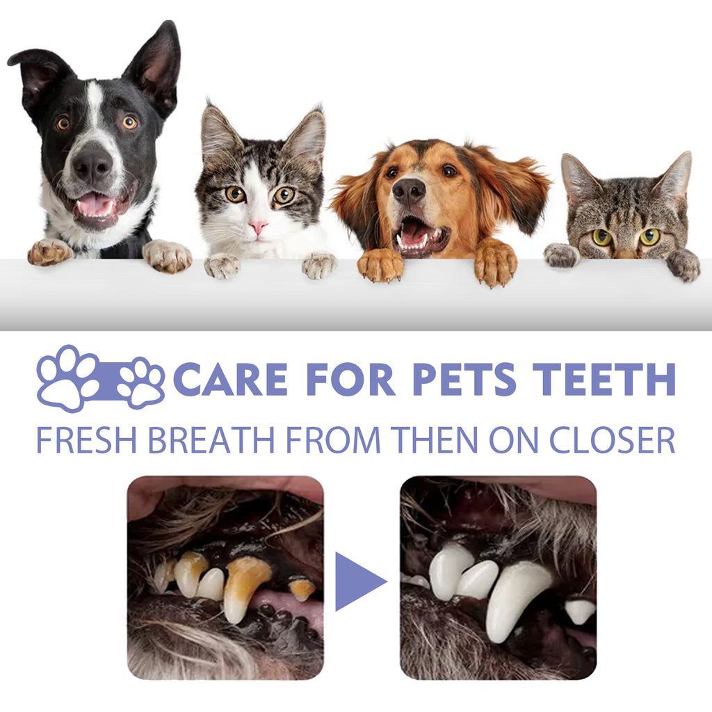 Spray Dental para Perros y Gatos. Elimina Sarro y Refresca el Aliento
