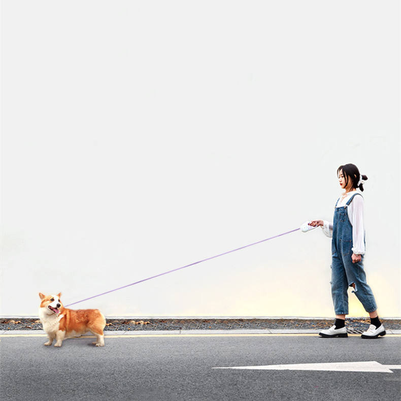 Correa Extensible con Luz LED para Perros