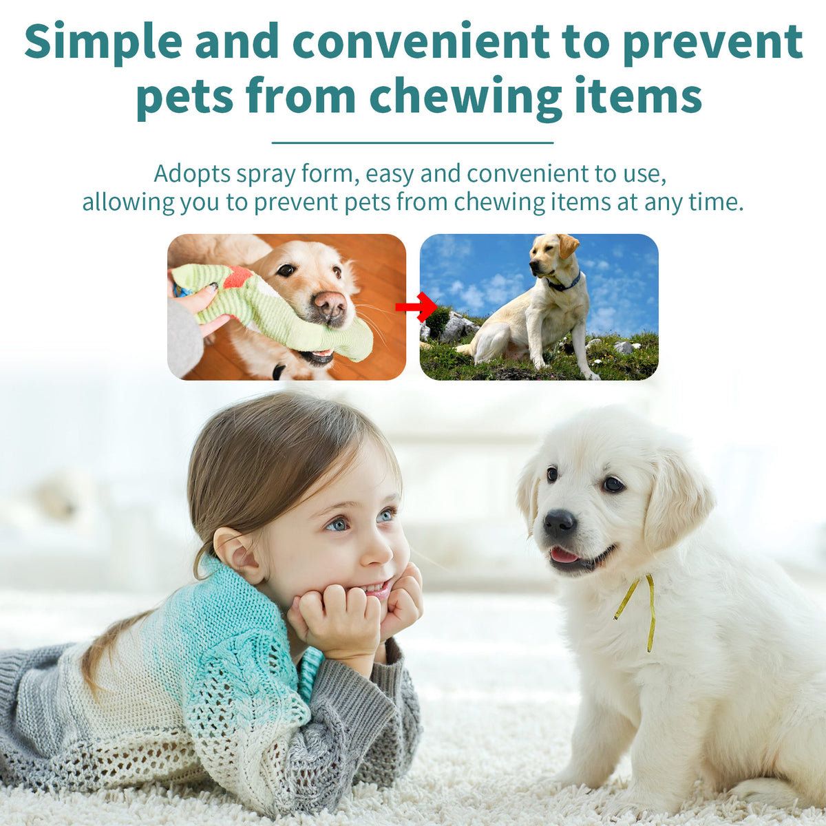 Spray Corrector para Mascotas. Antiarañazos y Antimuerdos para Sofás y Muebles