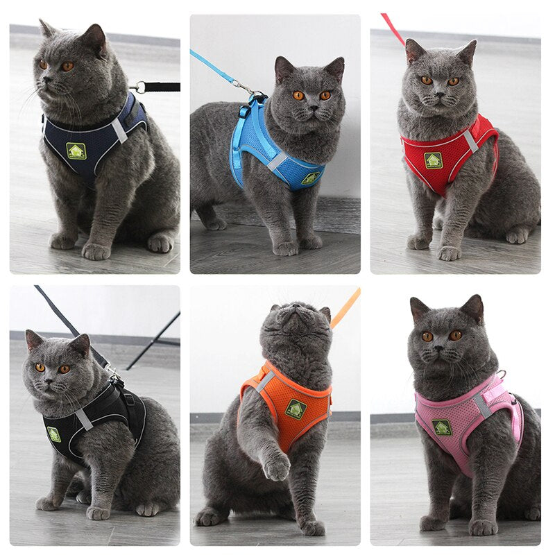 Reflective Cat Harness Leash Set Adjustable Harness Leashes Vest For Puppy Cats Walking Breathable Mesh Chest Strap Pet Product