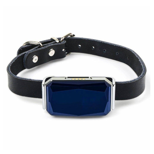 Collar GPS Impermeable IP67 para Perros, Gatos y Ganado