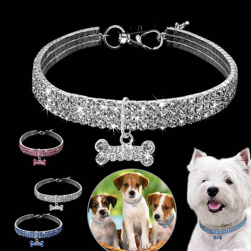 Collar Brillante con cristales y colgante de hueso para Perros y Gatos.