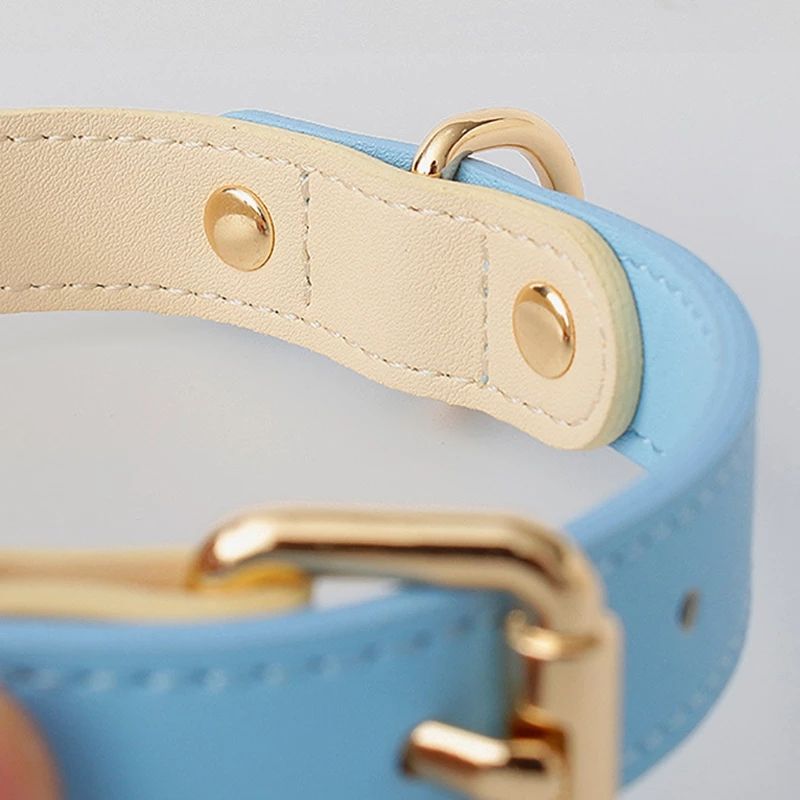 Collar de Cuero Genuino para Perros y Gatos