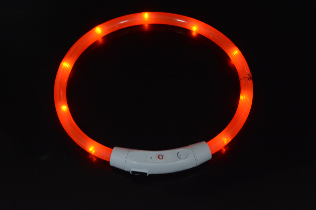 Collar LED Luminoso para Perros con Carga USB