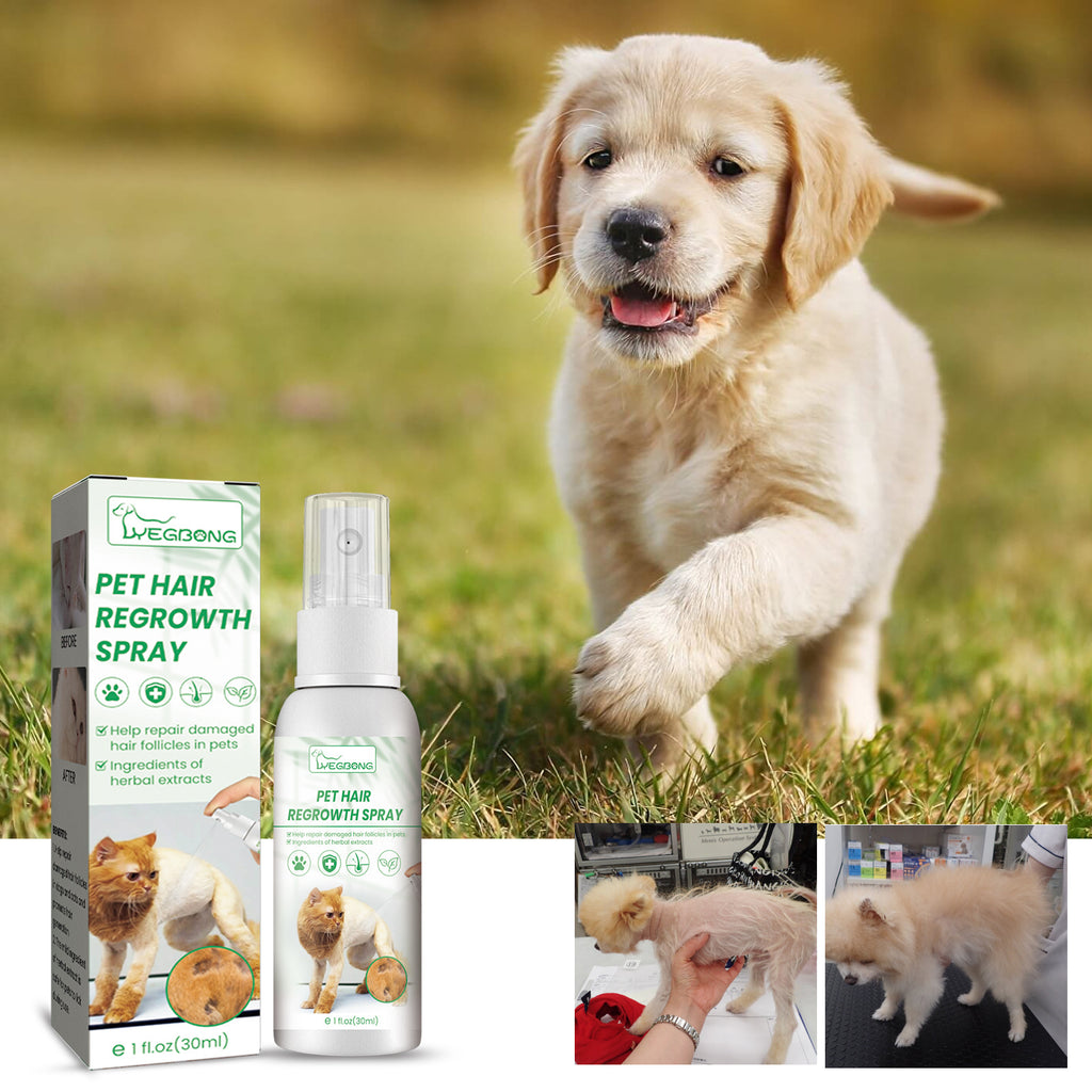 Pet Hair Growth Spray for Cats and Dogs - Hair Care Treatment for Damaged Follicles and Hair Loss
