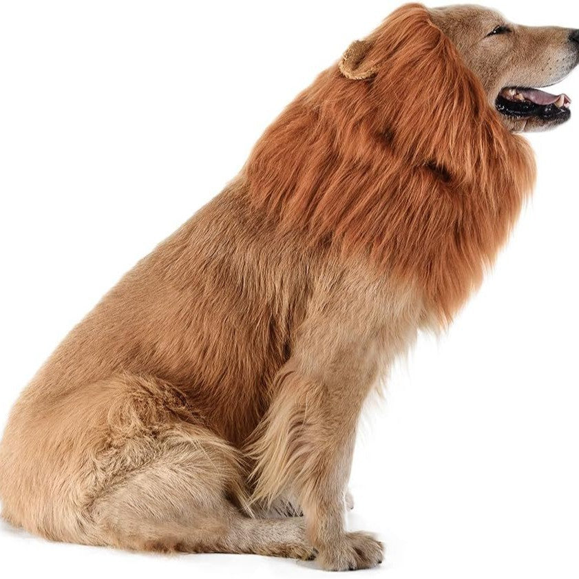 Máscara de León con Orejas para Mascotas. Disfraz Divertido para Perros y Gatos