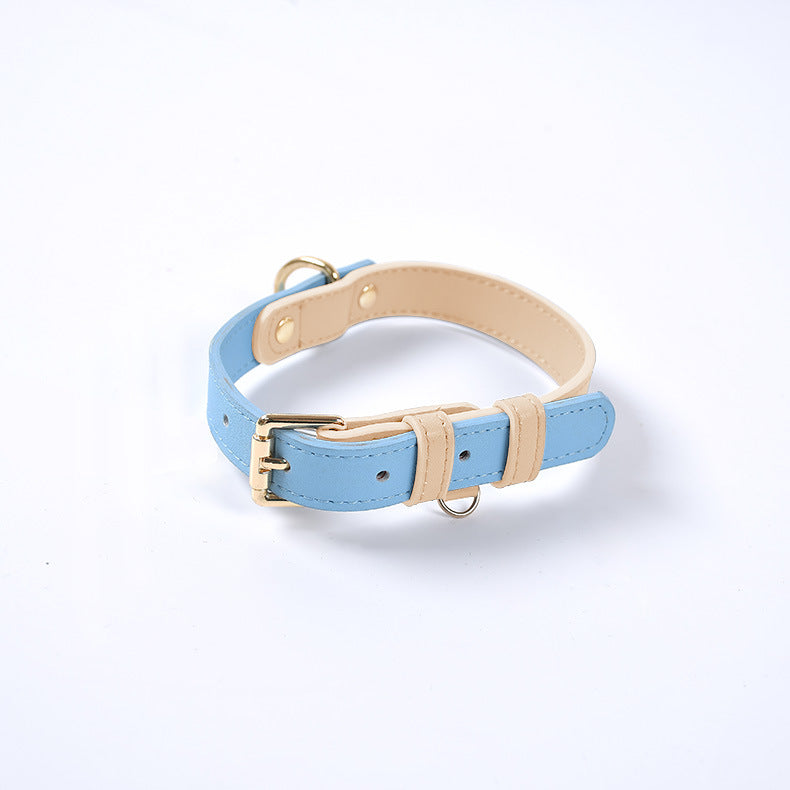 Collar de Cuero Genuino para Perros y Gatos