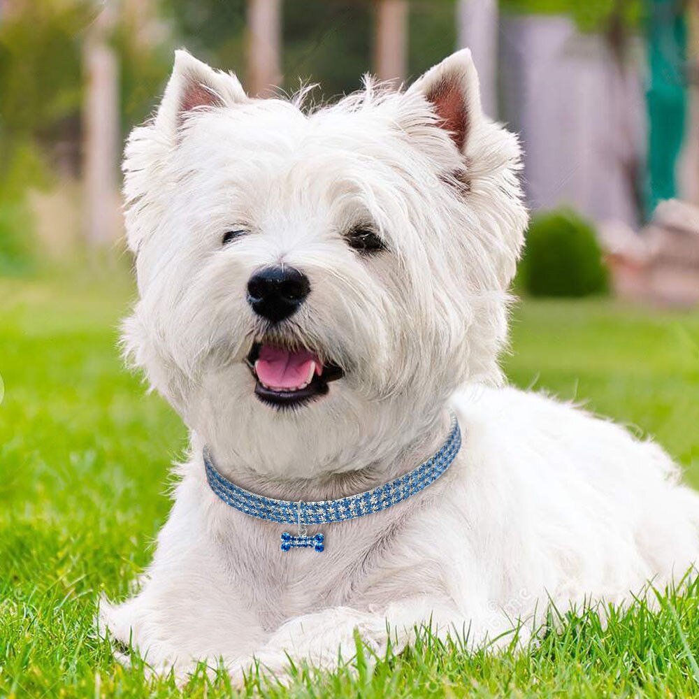 Collar Brillante con cristales y colgante de hueso para Perros y Gatos.