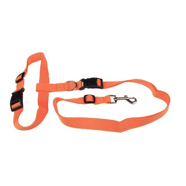 Correa de Nylon para Perros | Cómoda, Segura y Ajustable para Correr
