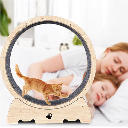 Rueda de Ejercicio para Gatos de Interior