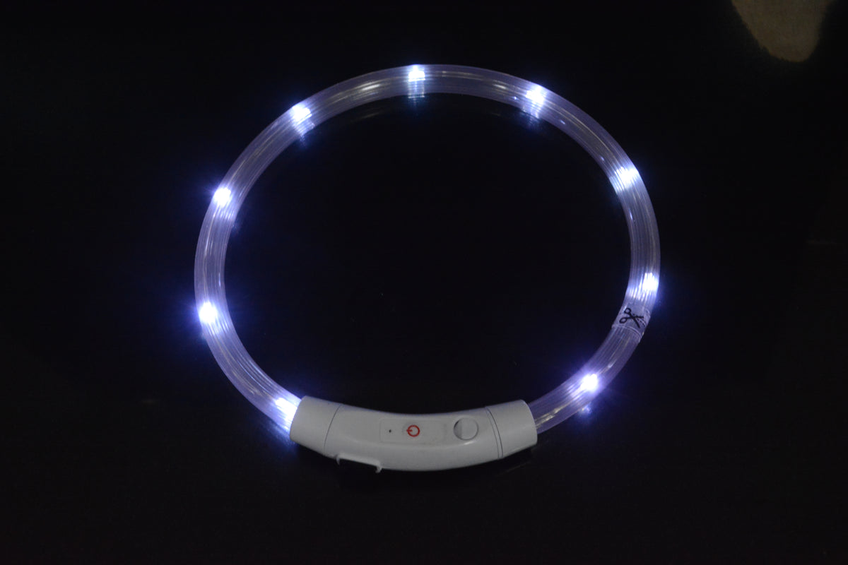 Collar LED Luminoso para Perros con Carga USB