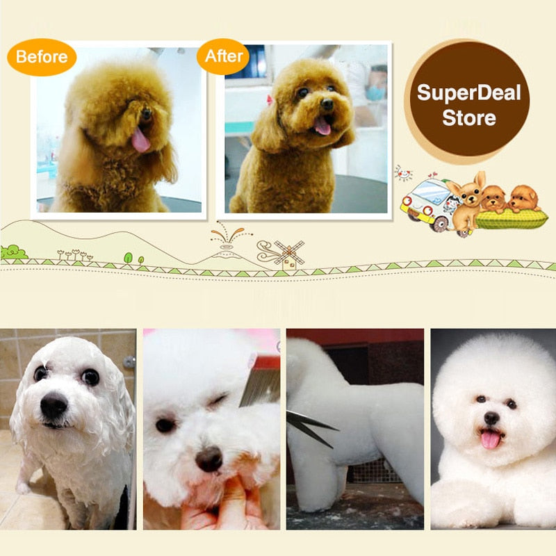 Cortadora de Pelo Profesional USB para Gatos y Perros. Silenciosa y Recargable. Kit de Grooming