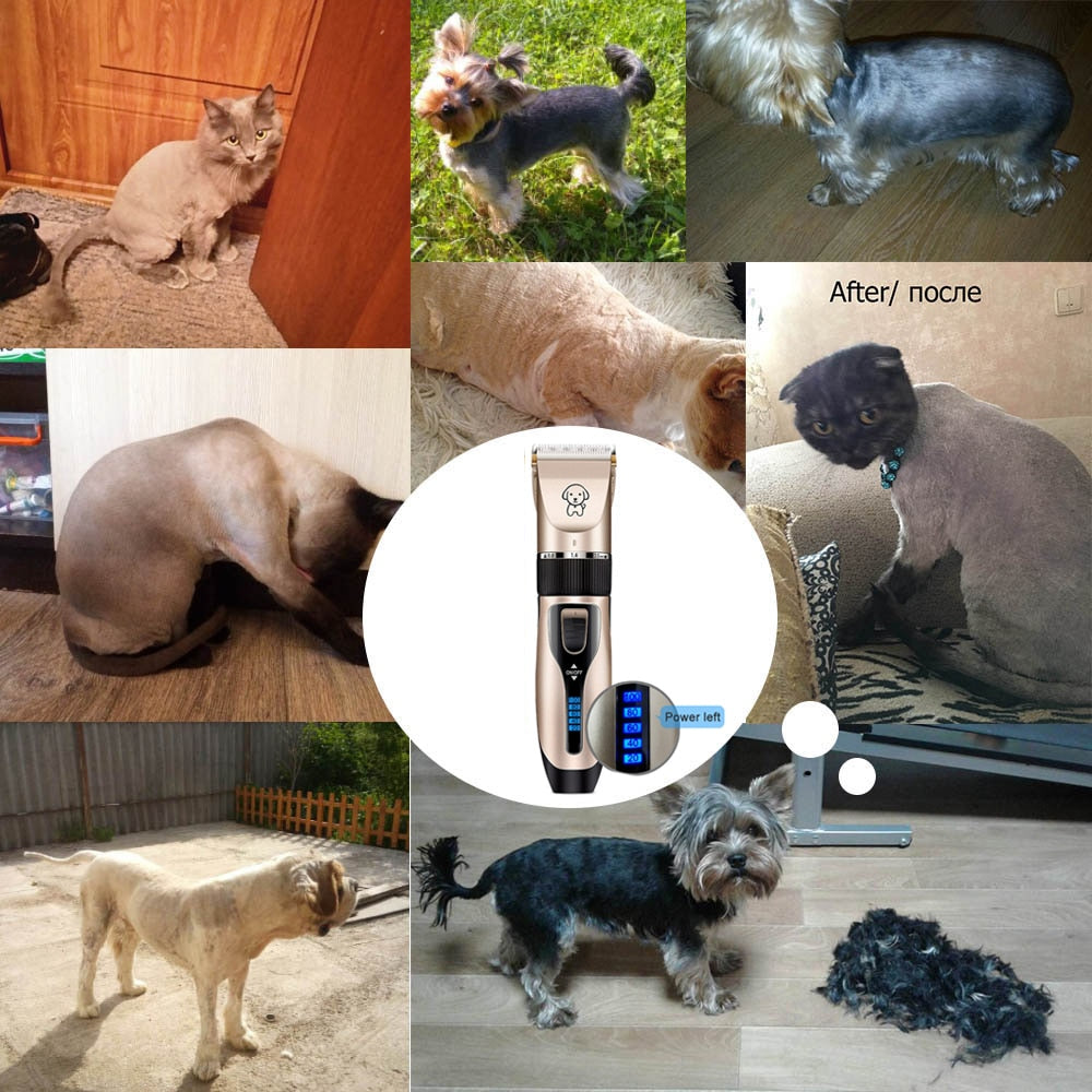 Cortadora de Pelo USB Recargable para Perros y Gatos. Silenciosa. Kit de Grooming Profesional