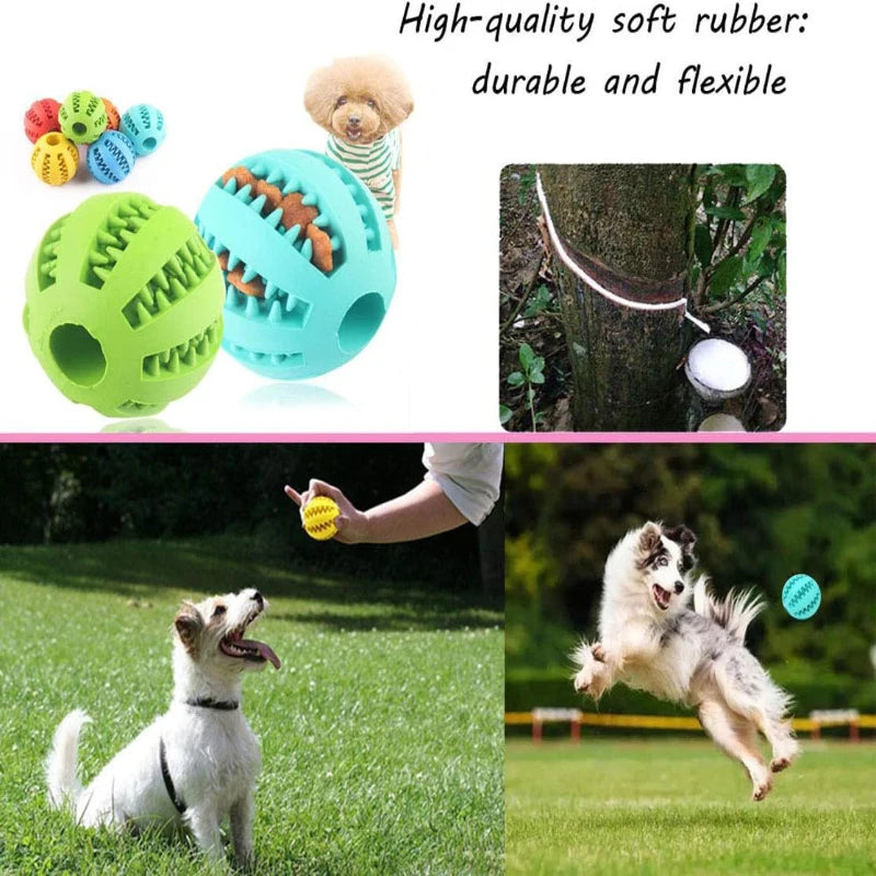 Pelota Interactiva de Goma para Perros y Gatos – Juguete Dispensador de Premios