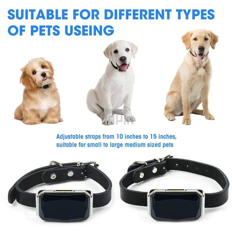 Collar GPS Impermeable IP67 para Perros, Gatos y Ganado