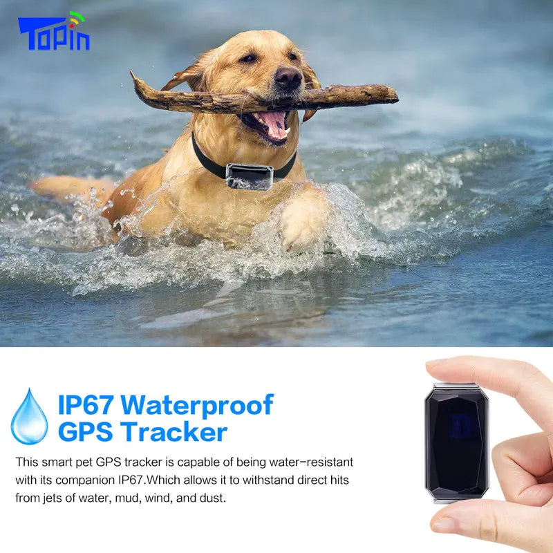 Collar GPS Impermeable IP67 para Perros, Gatos y Ganado