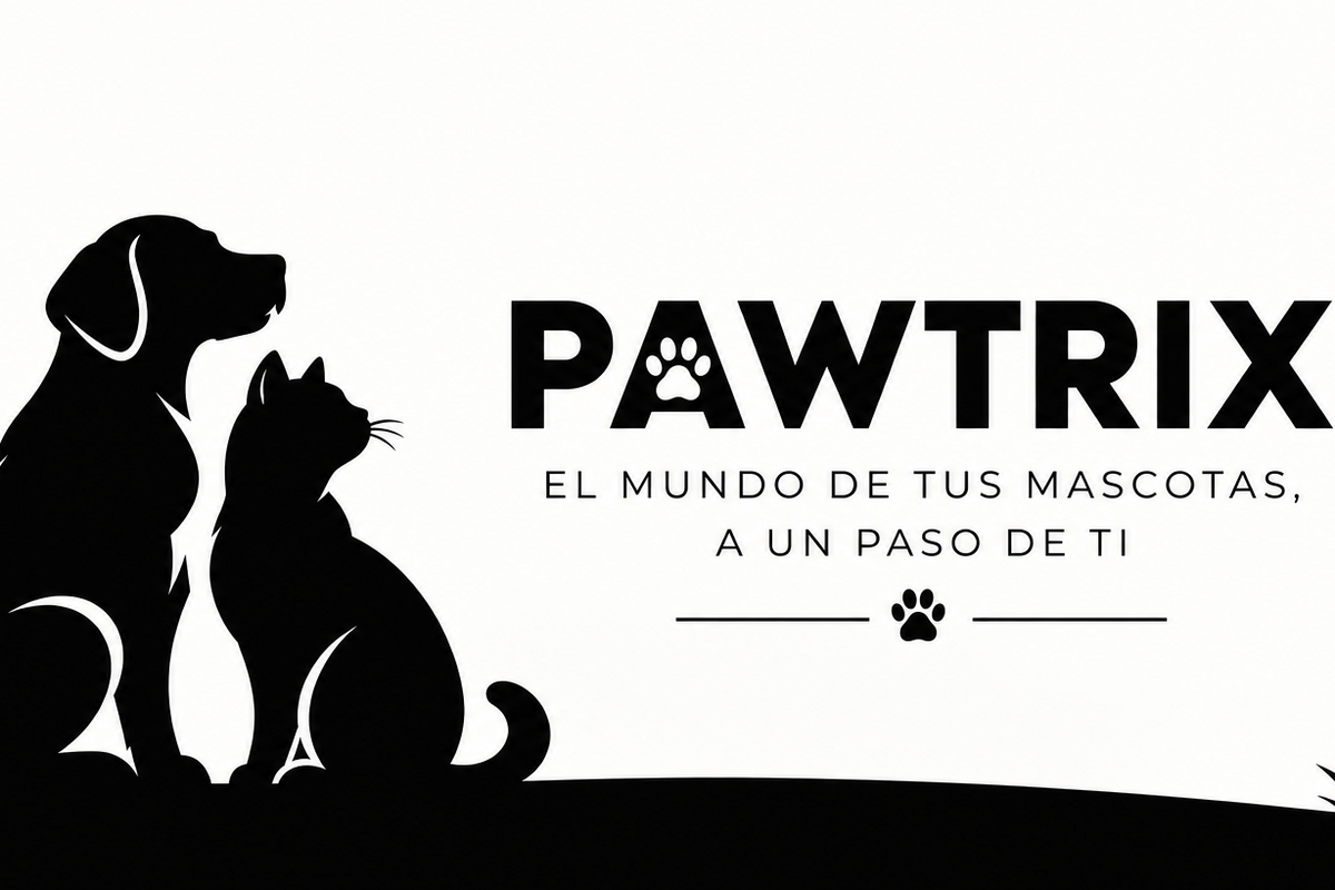 Banner PAWTRIX ancho completo